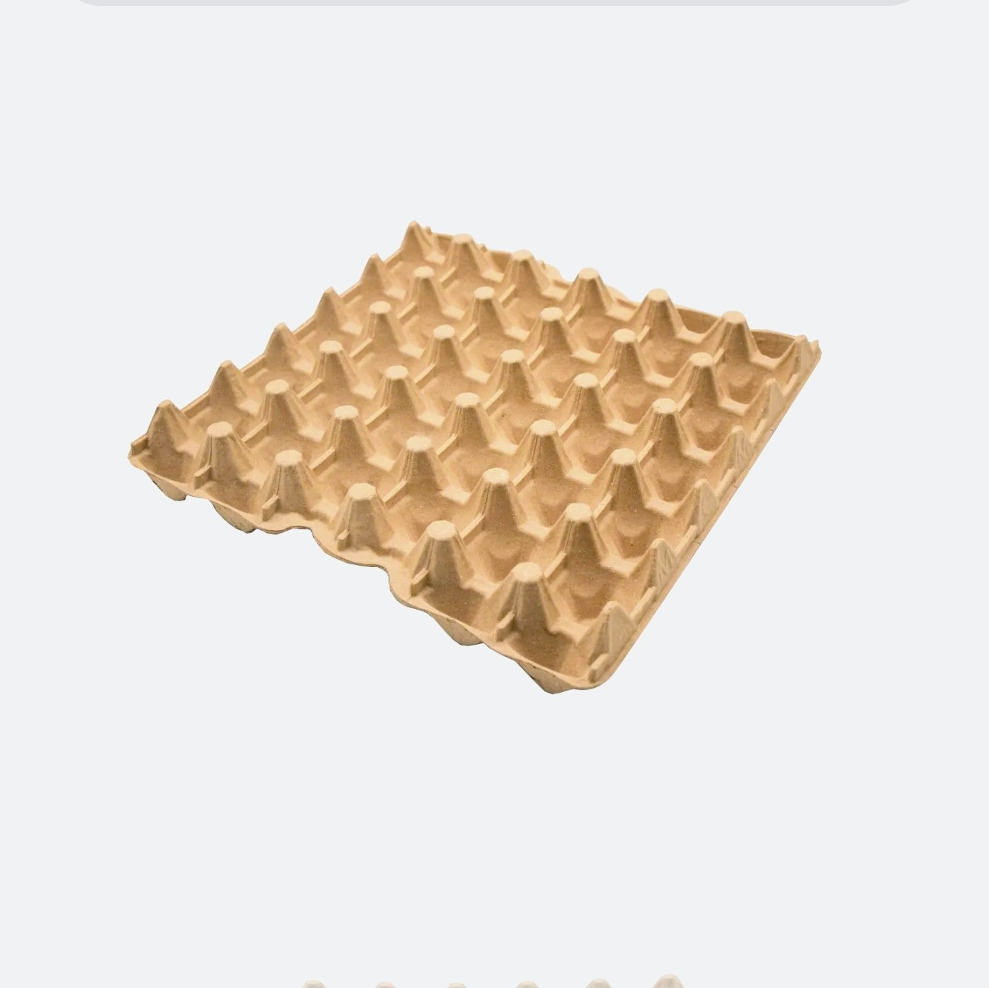 Egg Tray 30cell (pk80)