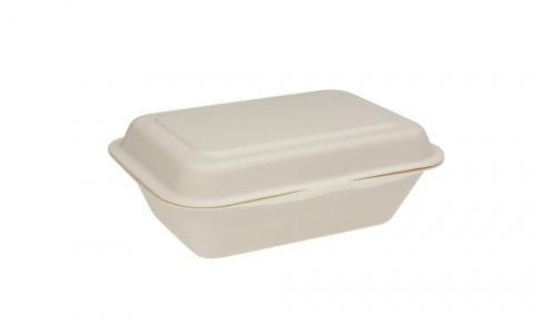 Sugar Cane Containers