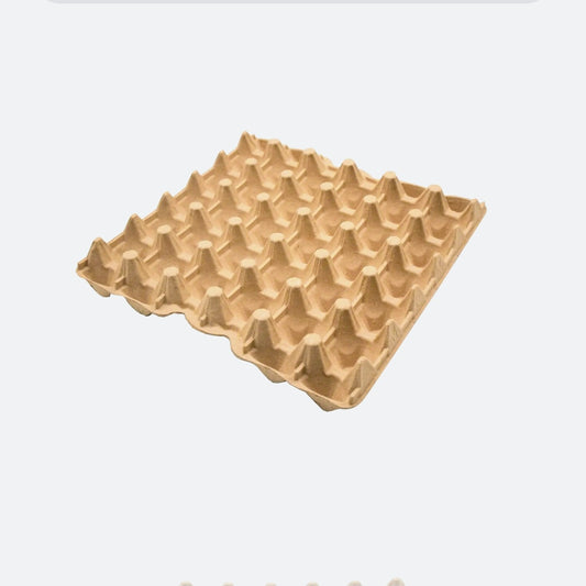 Egg Tray 30cell (80)