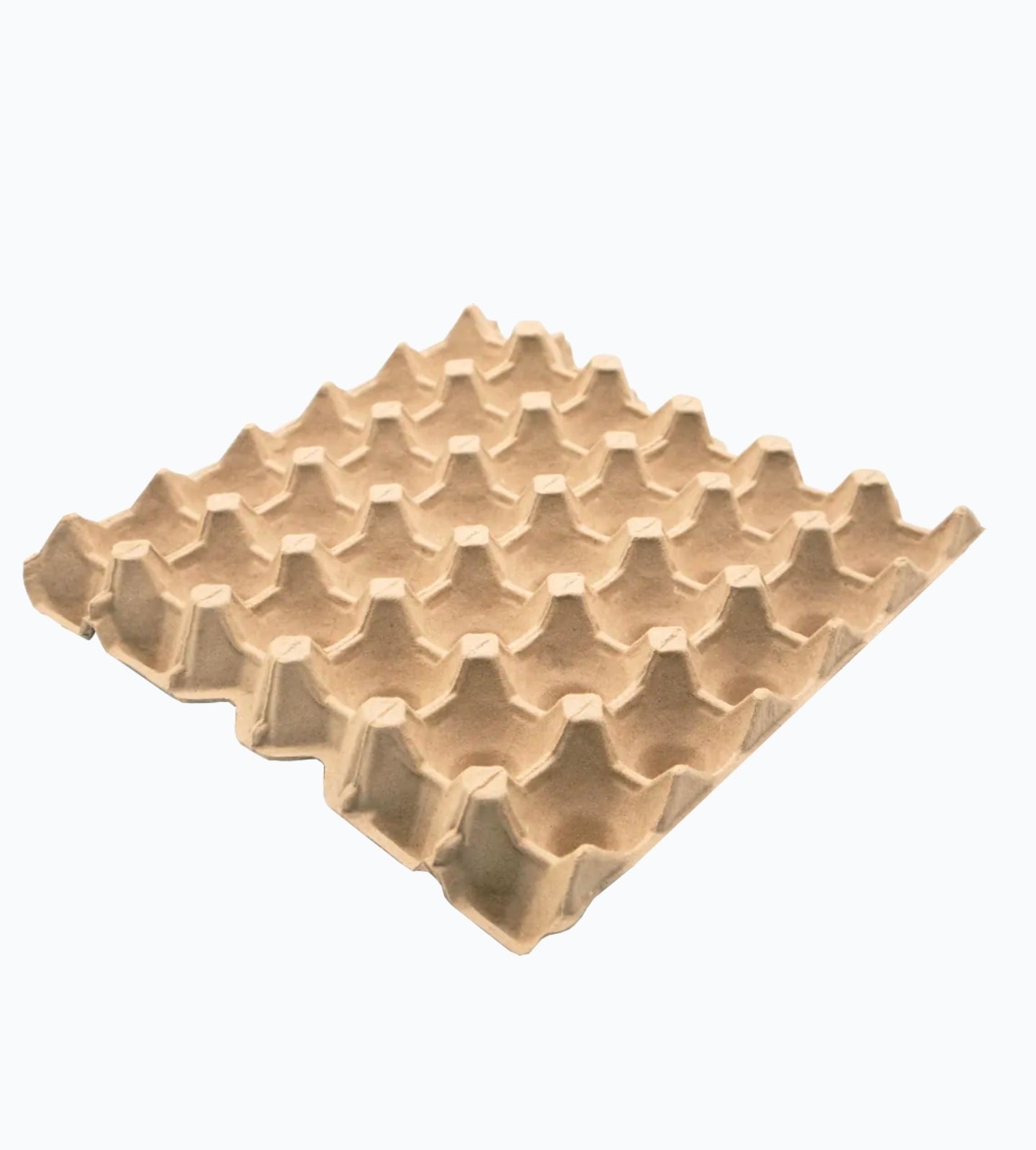 Egg Tray 20 cell Jumbo(70)