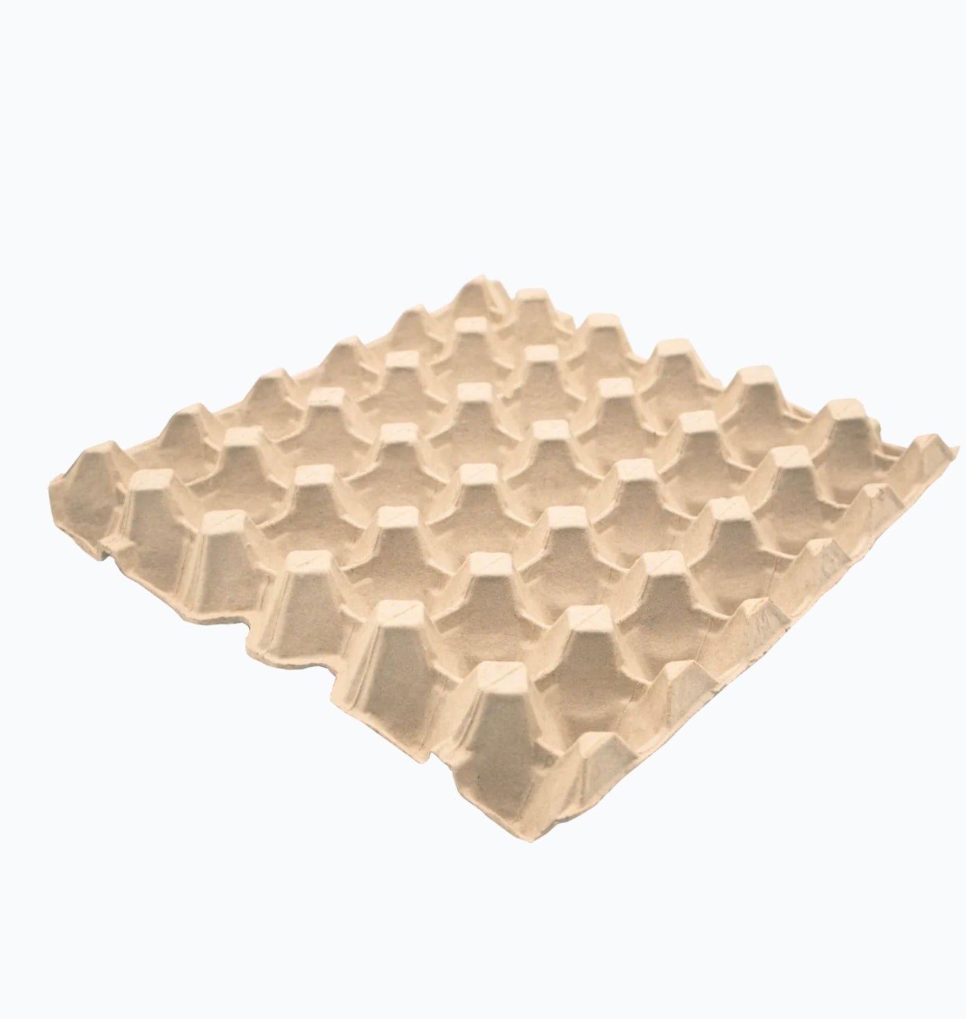 Egg Tray 30cell (80)