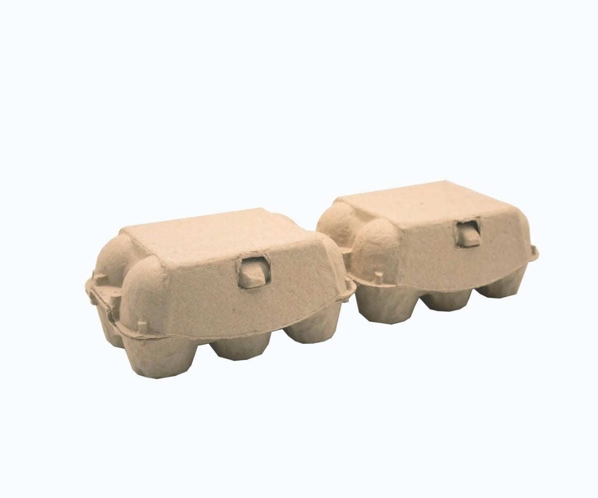 Egg Carton 6 cell (pk170)
