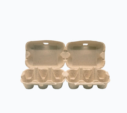 Egg Carton 6 cell (pk170)